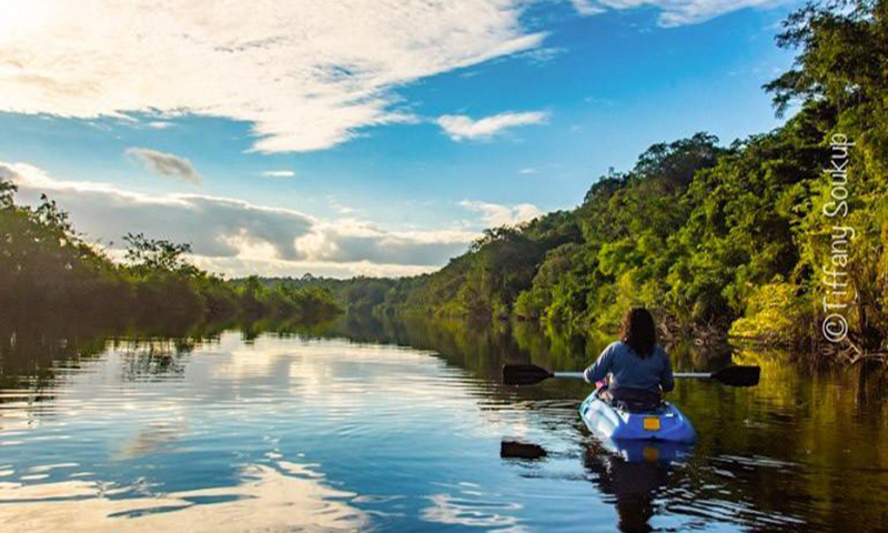 kayac estacion biologica las guacamayas rio san pedro