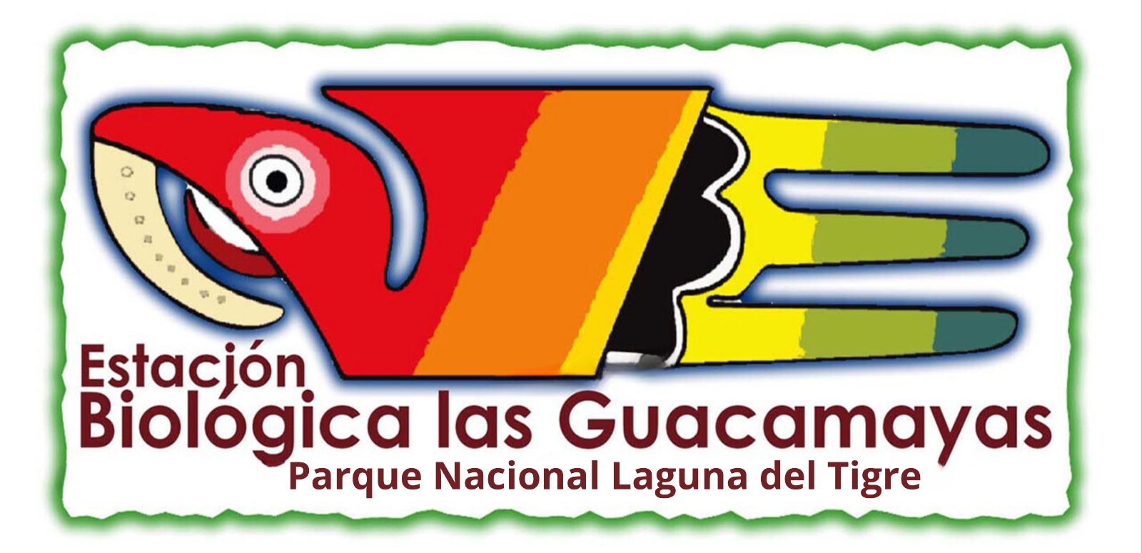Logotipo de las Guacamayas