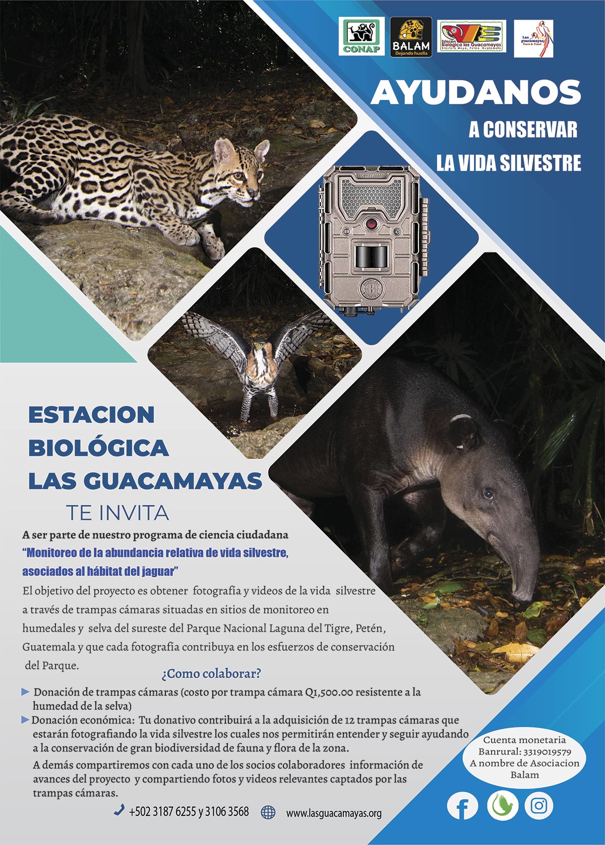 Monitoreo de vida silvestre asociaciados al habitat del jaguar