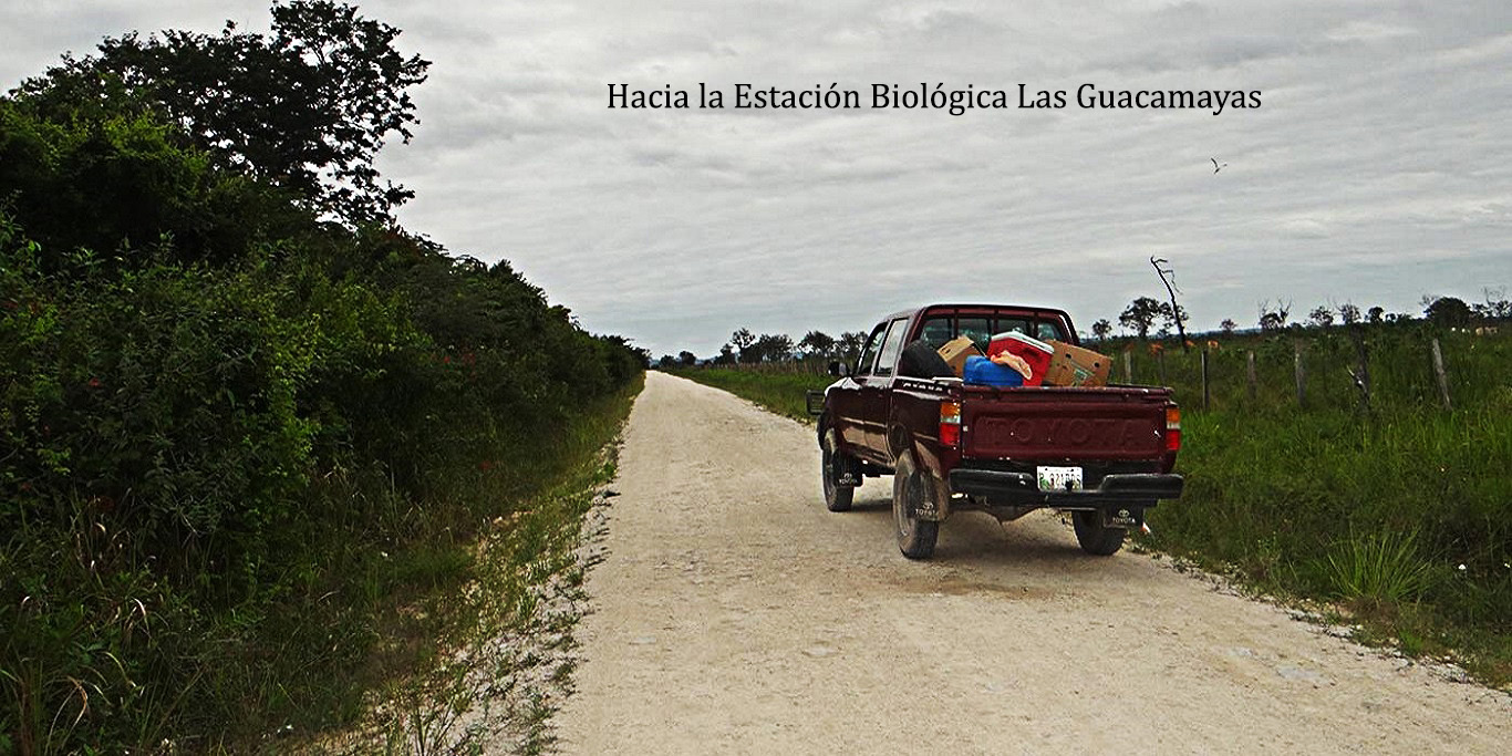 Servicios 003.jpg