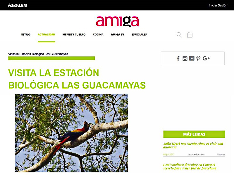 revista amiga