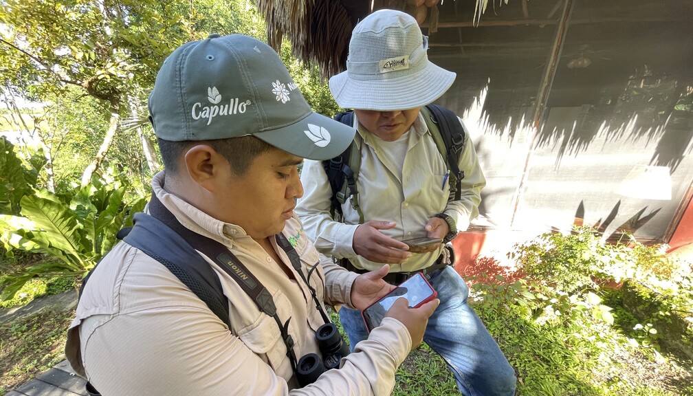 Registro de especies monitoreo biolgico