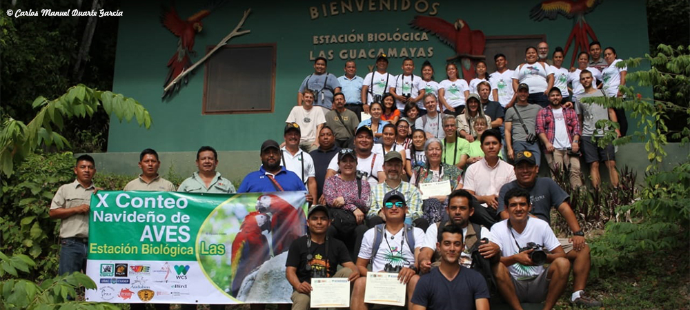 Conteo navideo de aves estacion biologica las Guacamayas