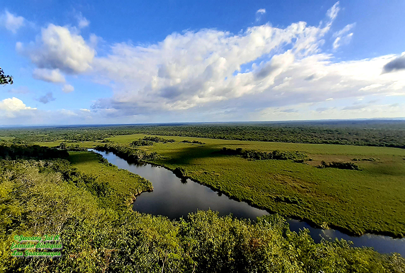 Mirador las Guacamayas