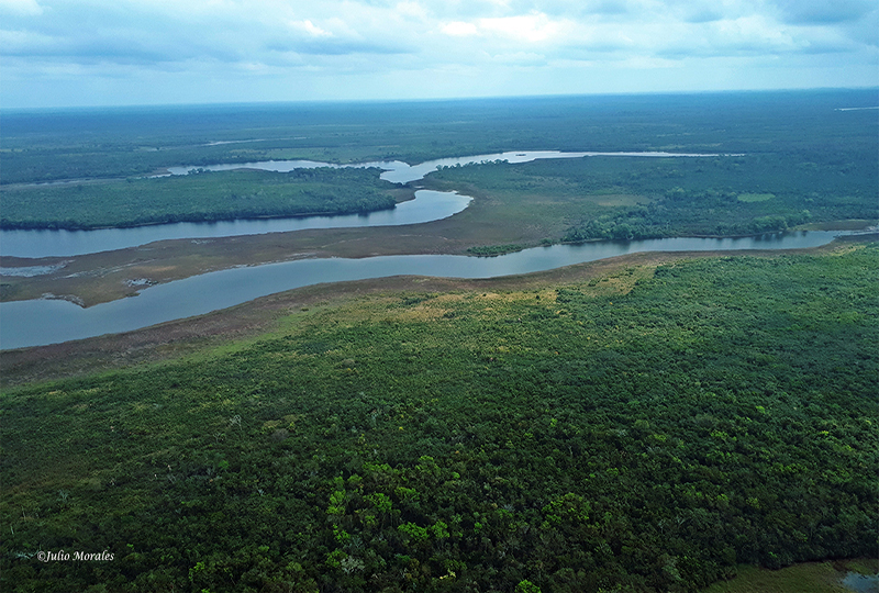 humedales parque laguna del tigre