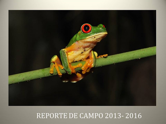 Reporte de campo 2013 2016