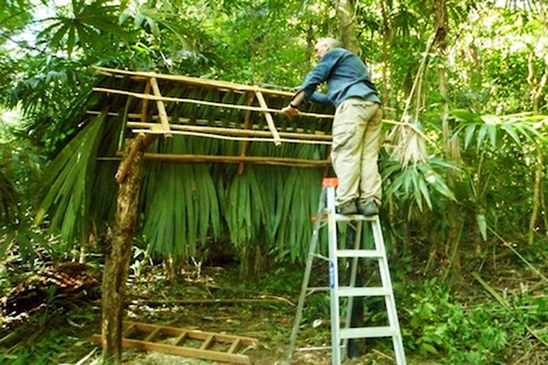 Estacin Biolgica Las Guacamayas senderos en la selva 