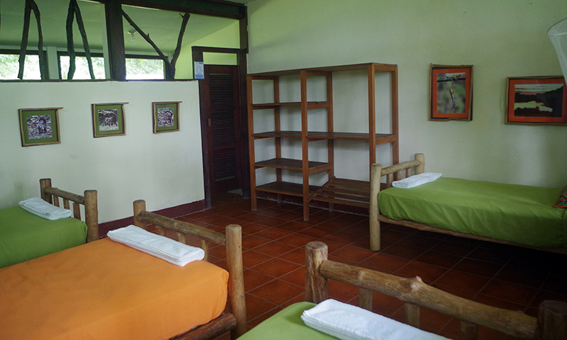 Habitaciones cuadruples las guacamayas