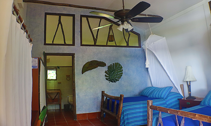 habitacion amazona farinosa