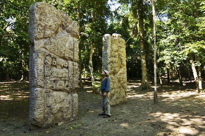 Estela waka estacion biologica las guacamayas