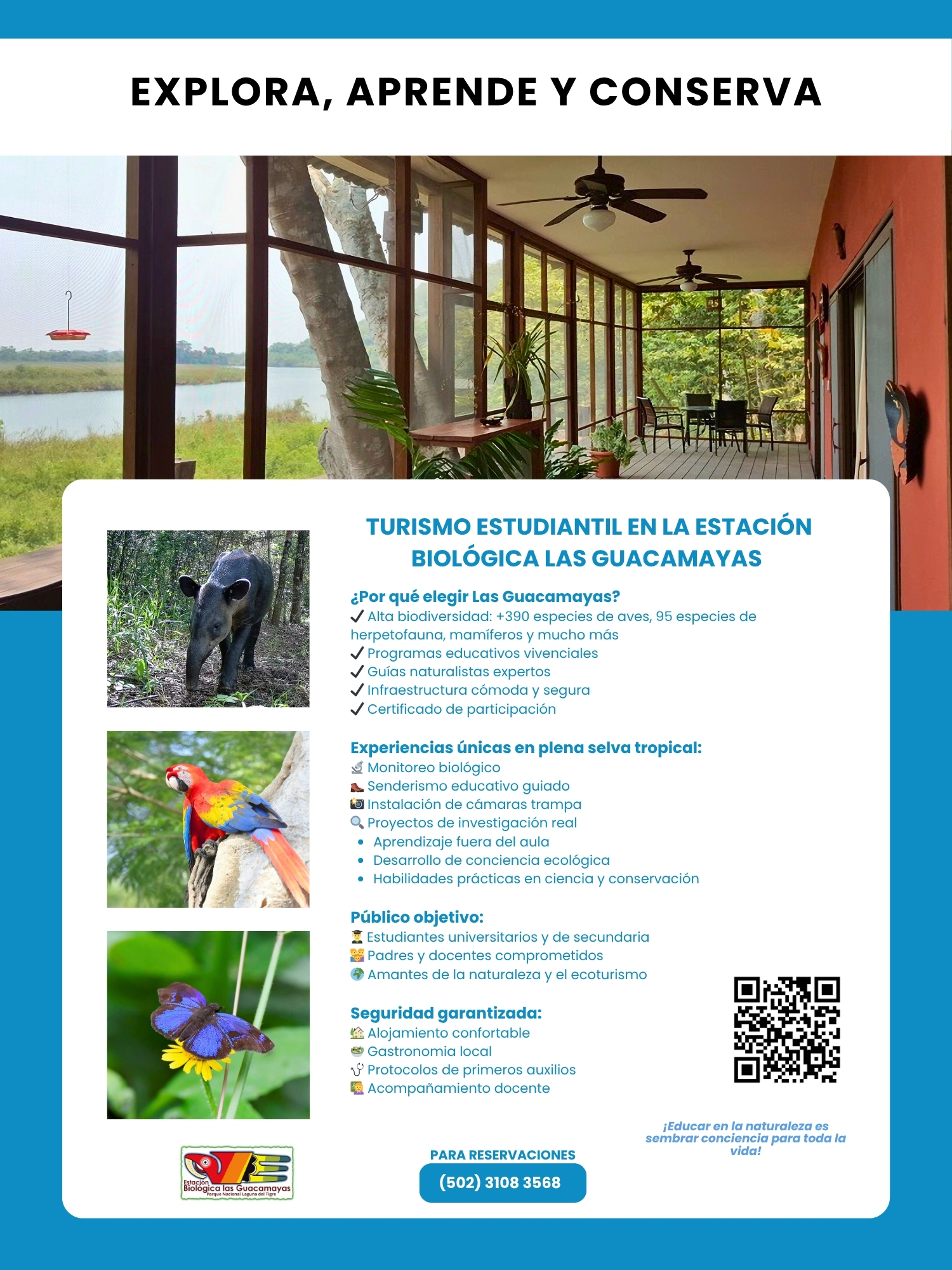 Turismo estudiantil
