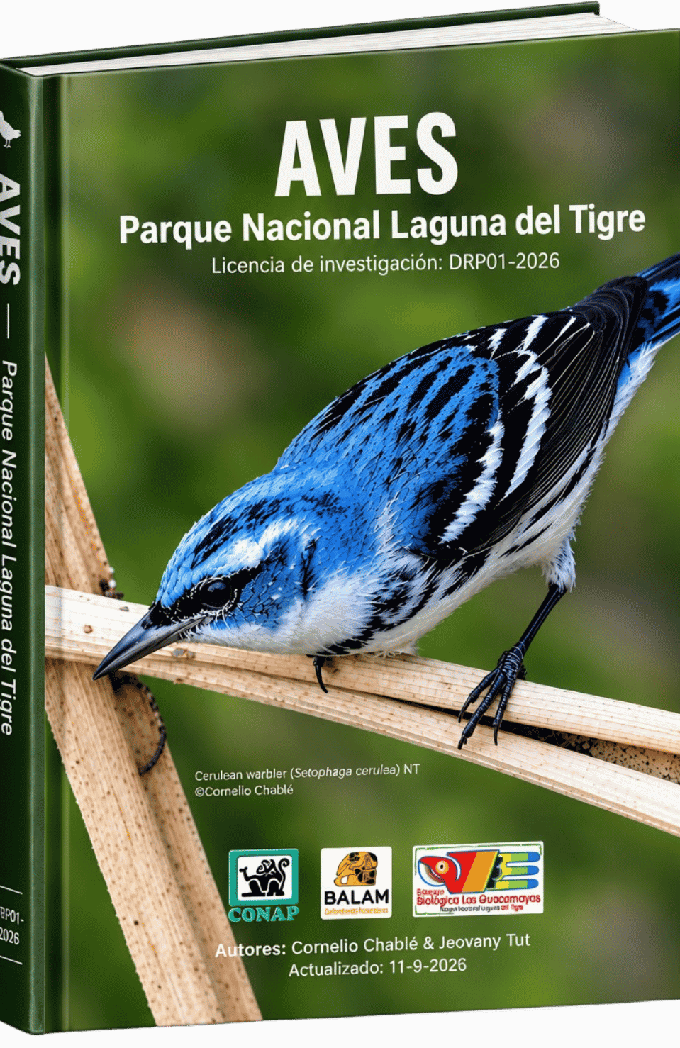 Aves del Parque Nacional Laguna del Tigre