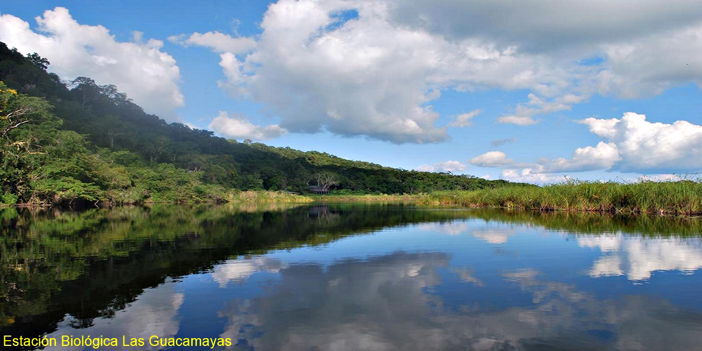 rio san pedro